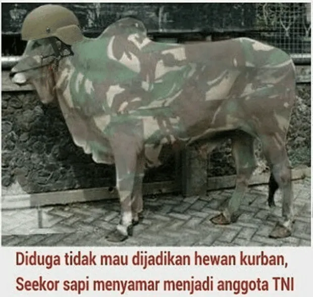 11 Siasat Cerdik Hewan Kurban Agar Terhindar dari Penyembelihan. Keselamatan Diri Wajib Dijaga! 22