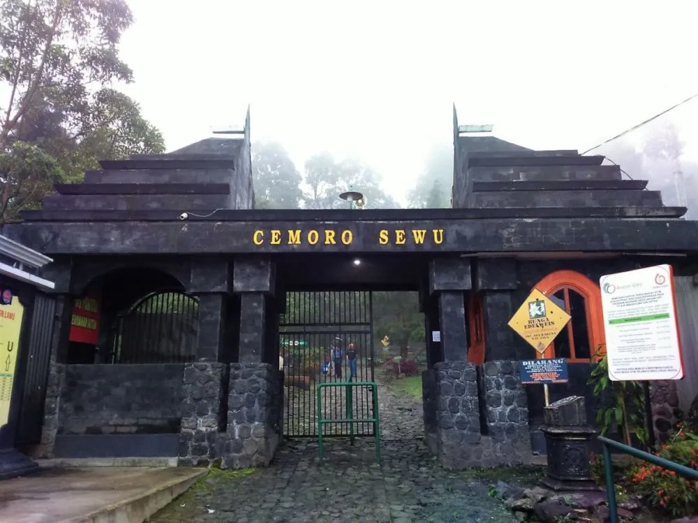 Terjatuh dari Ketinggian 7 Meter, Seorang Pendaki Meninggal di Gunung Lawu. Begini Kronologis Kejadiannya! 5