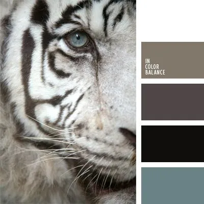 Terinspirasi dari Hewan, Ini Kombinasi Warna yang Tepat Buat Mempercantik Penampilanmu! 15