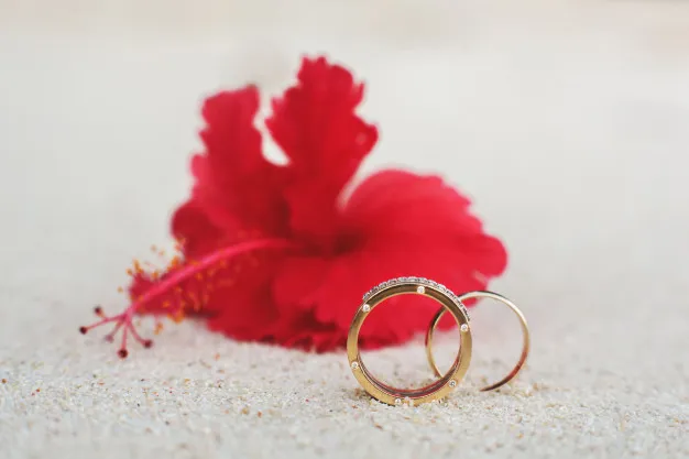 15 Peluang Bisnis Unik ini Belum Ada di Indonesia. Dari Sewa Ayam sampai Jualin Cincin Batal Nikah! 20