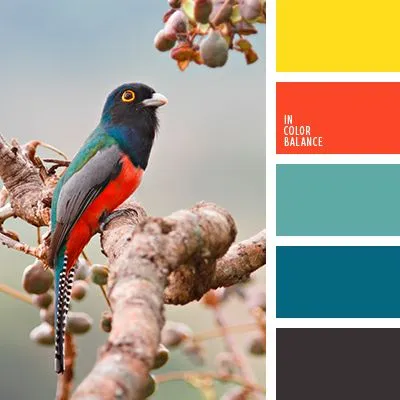 Terinspirasi dari Hewan, Ini Kombinasi Warna yang Tepat Buat Mempercantik Penampilanmu! 11