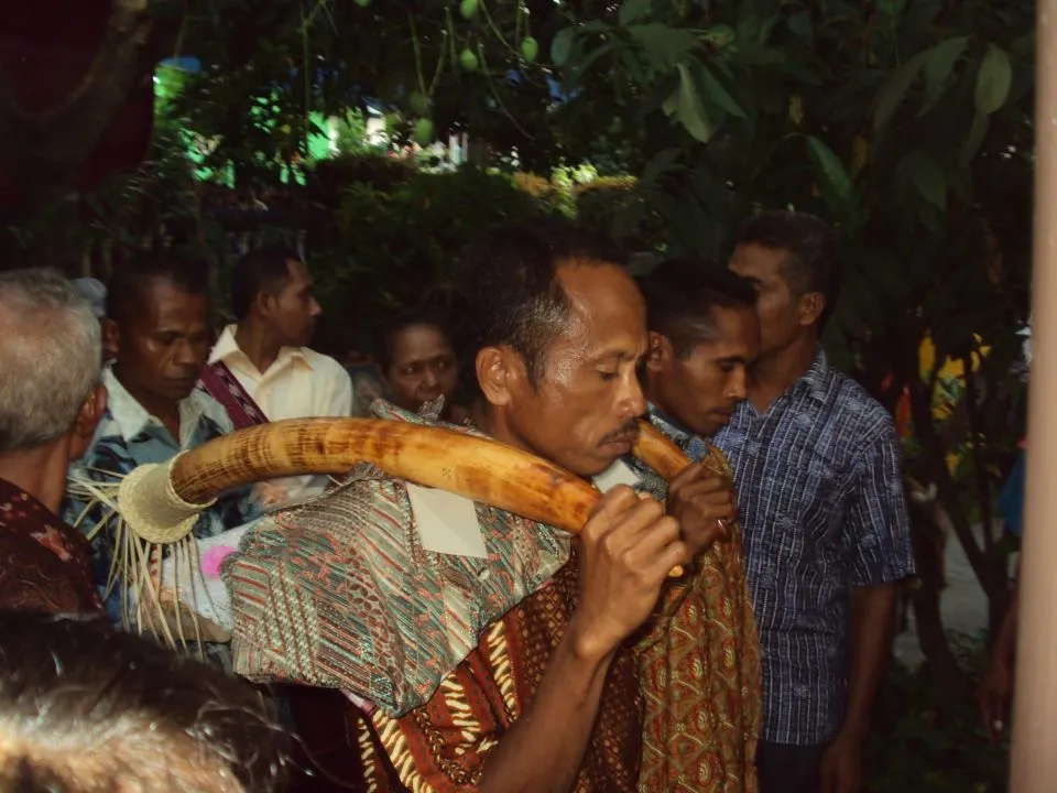Mengulik Belis atau Mas Kawin Berharga Fantastis di Flores NTT. Bukan Emas, tapi Gading Gajah! 4