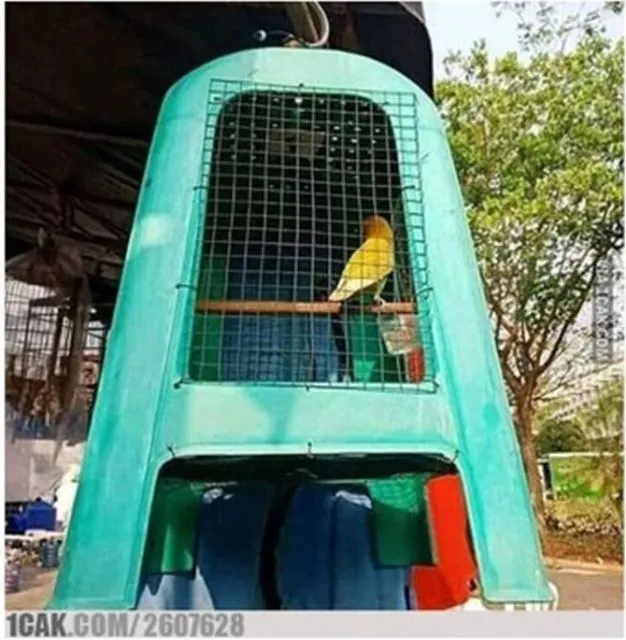 11 Kandang Paling Kocak yang Pernah Dibuat. Hewan Aja Mungkin Bingung Lihat ini, Apalagi Manusia 12