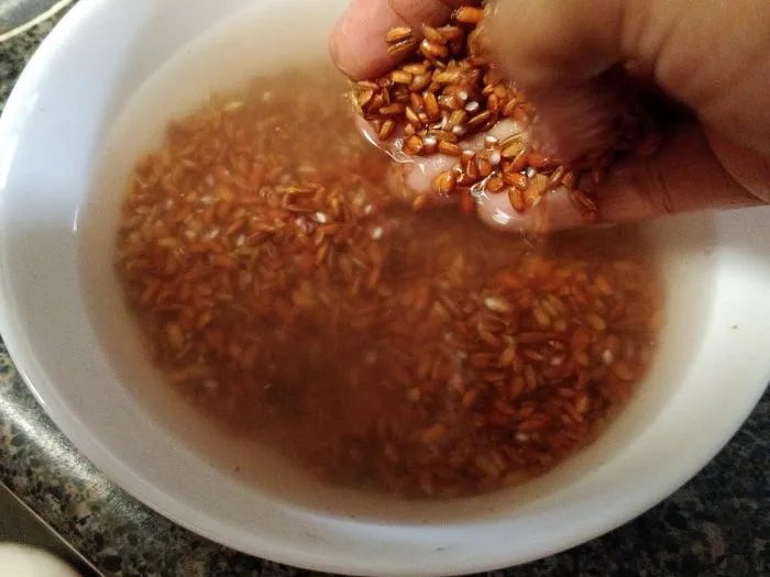 6 Cara Memasak Beras Merah di Rice Cooker Biar Pulen 7