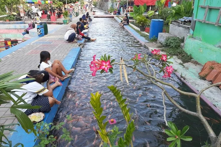 Kreatif dan Bermanfaat. Pemuda di Yogyakarta Sulap Saluran Irigasi Jadi Tempat Budidaya Ikan. Bisa Ditiru nih~ 4
