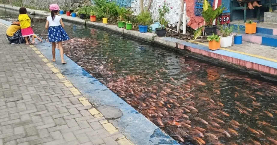Kreatif dan Bermanfaat. Pemuda di Yogyakarta Sulap Saluran Irigasi Jadi Tempat Budidaya Ikan. Bisa Ditiru nih~ 6
