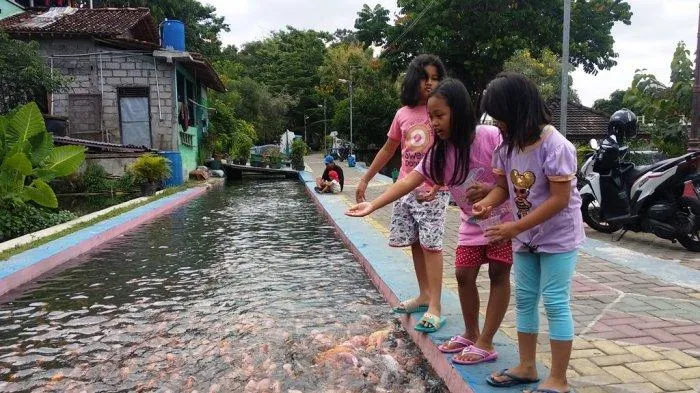 Kreatif dan Bermanfaat. Pemuda di Yogyakarta Sulap Saluran Irigasi Jadi Tempat Budidaya Ikan. Bisa Ditiru nih~ 5