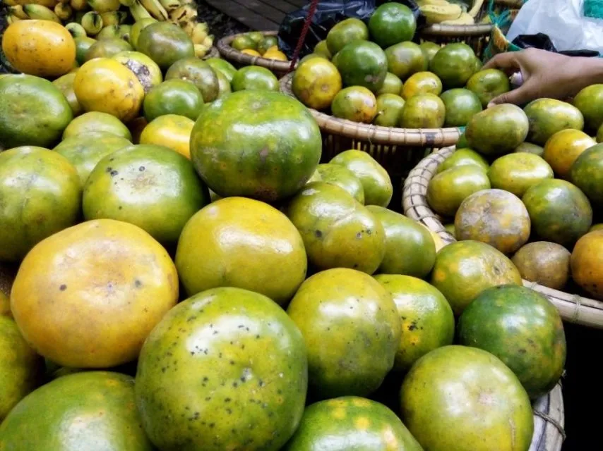Cara Memilih Buah Jeruk Lokal yang Manis dan Banyak Airnya. Bisa Dicek dari Tekstur Kulitnya 15