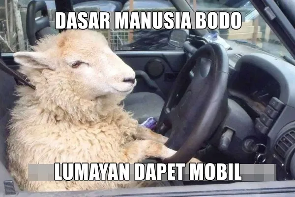 11 Siasat Cerdik Hewan Kurban Agar Terhindar dari Penyembelihan. Keselamatan Diri Wajib Dijaga! 18