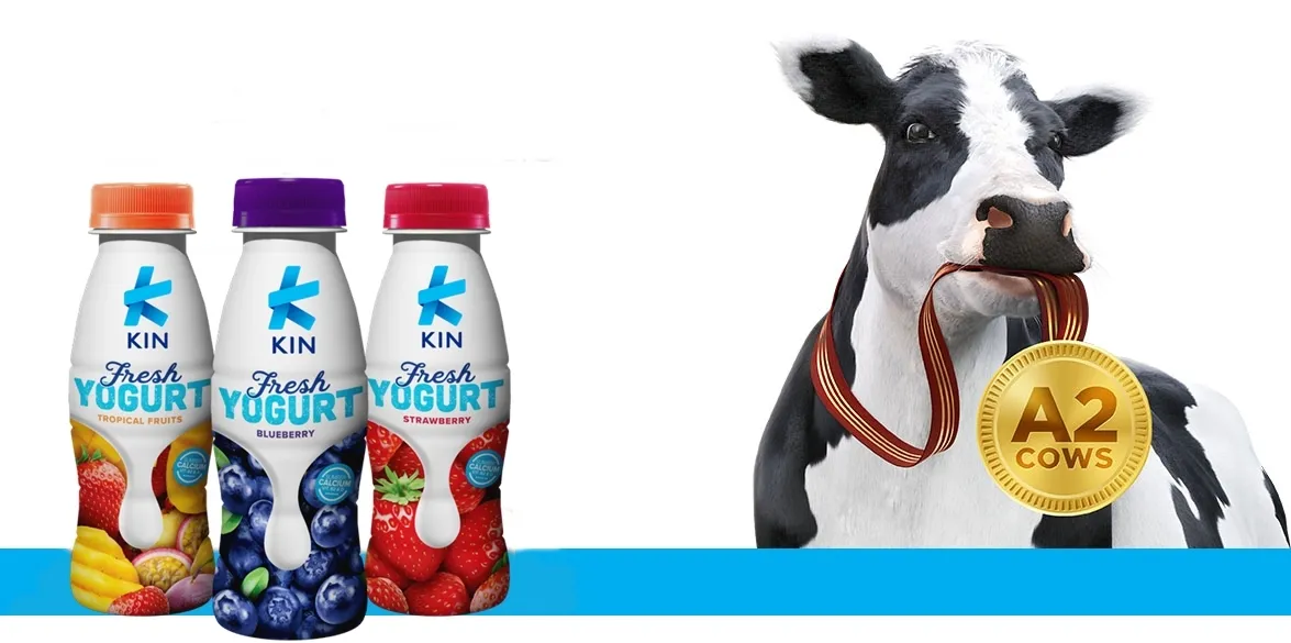 Punya Kandungan Protein A2, KIN Fresh Yogurt Berikan Perlindungan Ekstra untuk Pencernaan & Sistem Imun Tubuh 3
