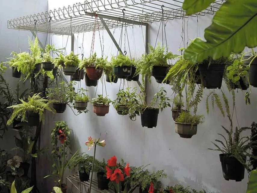 Trik Menghadirkan Taman Rumah di Area Sempit. Estetis dan Nggak Monoton Kayak di Rumah Sakit 24