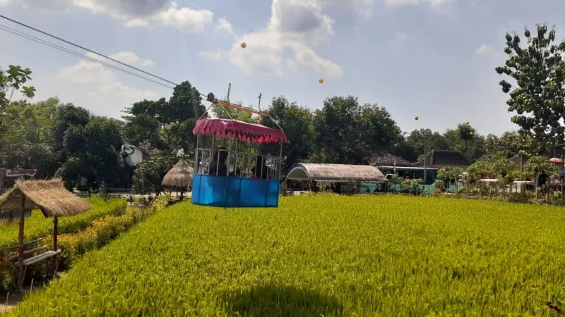 Unik Banget, Taman Wisata di Tengah Sawah yang Hits di Madiun. Dibikin Buat Tempat Main Anak-anak! 4