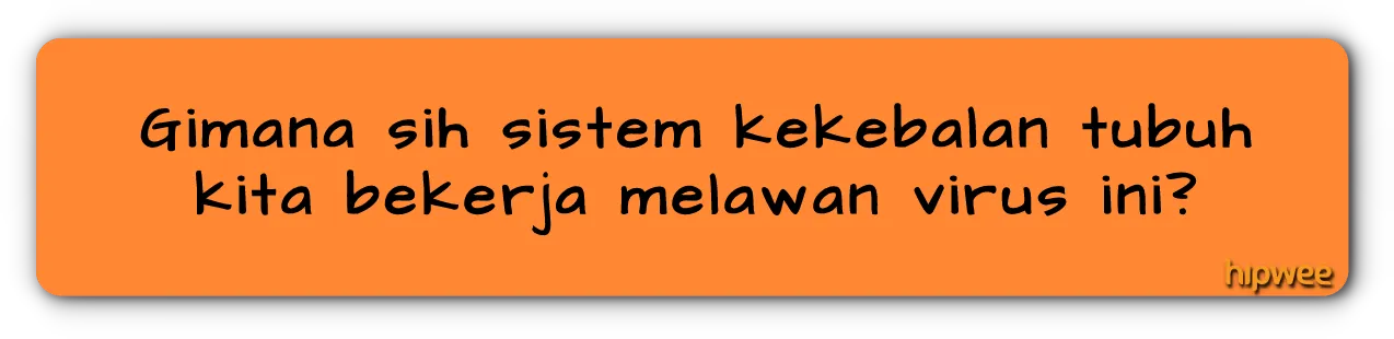 5 Teka-teki Tentang Virus Corona ini Belum Terjawab Walau Sudah Enam Bulan Mewabah di Dunia 9