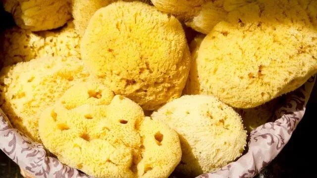 6 Jenis Spons Pembersih Dapur ini Kegunaannya Beda-beda. Jangan Dipakai Cuci Piring Semua 12
