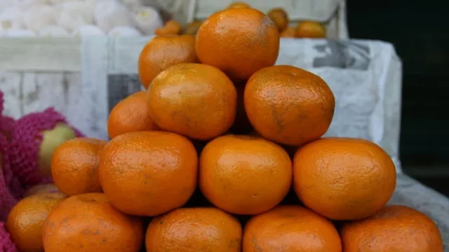 Cara Memilih Buah Jeruk Lokal yang Manis dan Banyak Airnya. Bisa Dicek dari Tekstur Kulitnya 26
