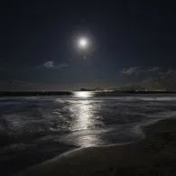 #PuisiHipwee Hai Malam dan Laut