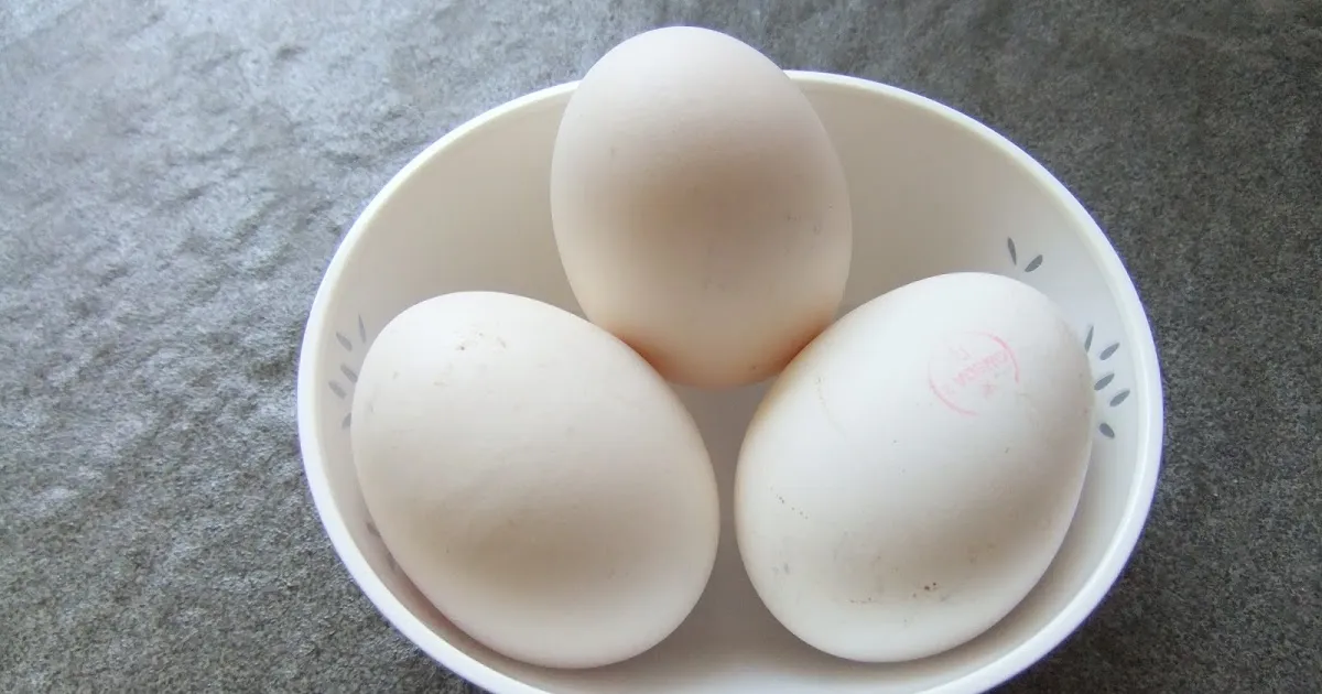 Perbedaan Khasiat Telur Ayam Kampung dengan Telur Ayam Ras. Kalau untuk Kesuburan, Manjur Mana? 11