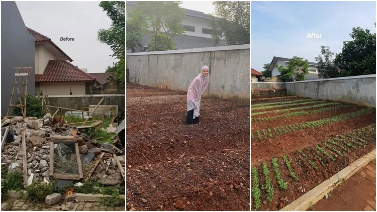 Kembangkan Hobi Baru Saat Pandemi, Yuk Intip Lahan Kompleks yang Disulap Tantri Namirah Jadi Kebun! 4