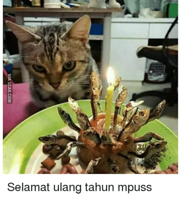 11 Potret Ulang Tahun yang Akan Selalu Diingat. Hari Bahagia yang Penuh dengan Kekonyolan 21