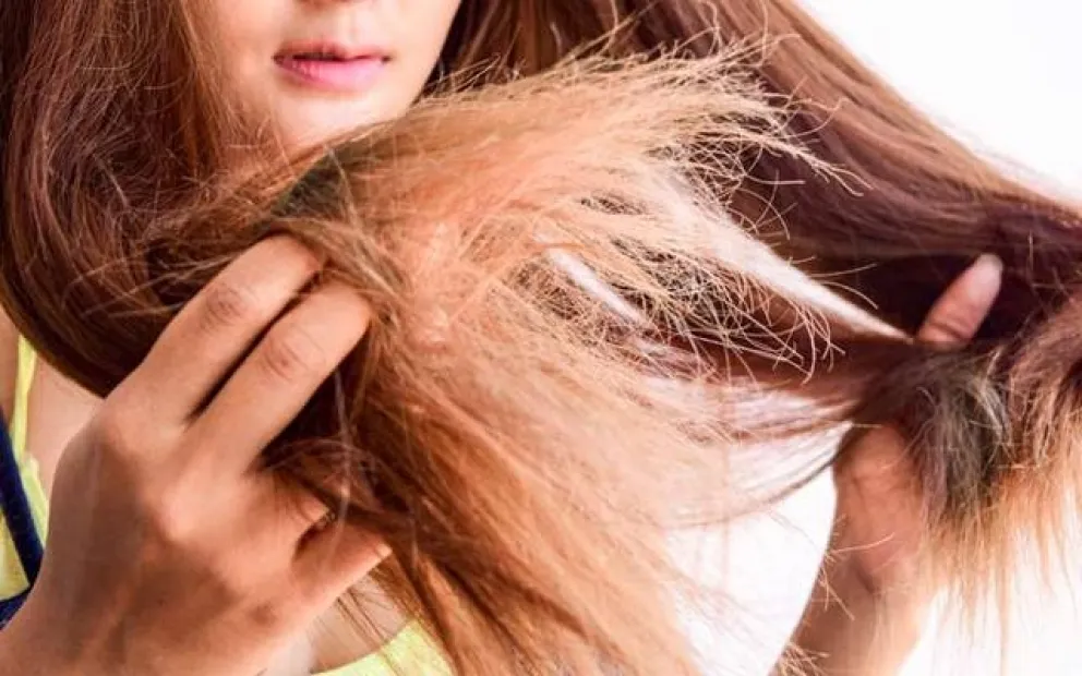 Fakta Tentang Shampo Kuda yang Katanya Bikin Rambut Cepat Panjang dan Lebat. Pernah Coba? 12