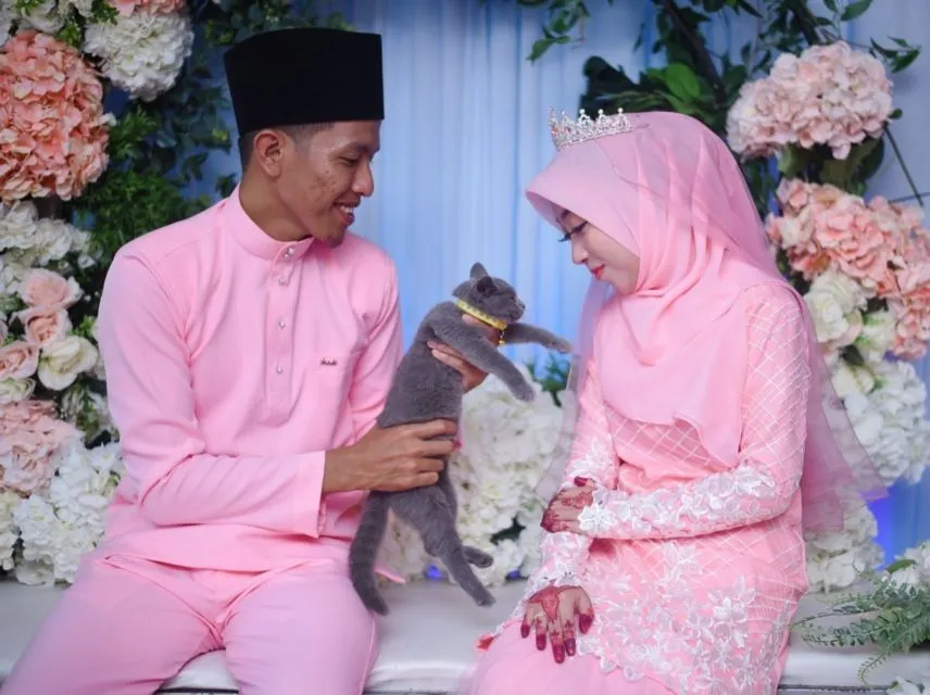 Unik Banget, Kucing Lucu Jadi Seserahan! 5 Hal ini Juga Bisa lo Diberikan Sesuai Kesukaan 6