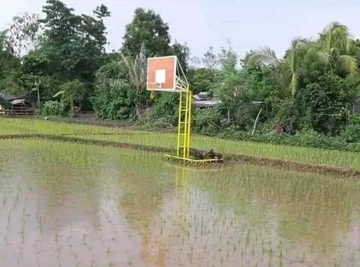 11 Benda dengan Penempatan yang Salah ini Pasti Bikin Warga Bingung. Konsepnya Mau Gimana sih?! 14
