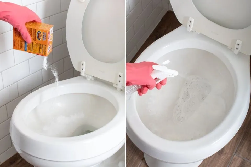 10 Pengharum Kamar Mandi Alami Penumpas Bau Pesing dan Tak Sedap. Aromanya Segar, Anti Pengap 11
