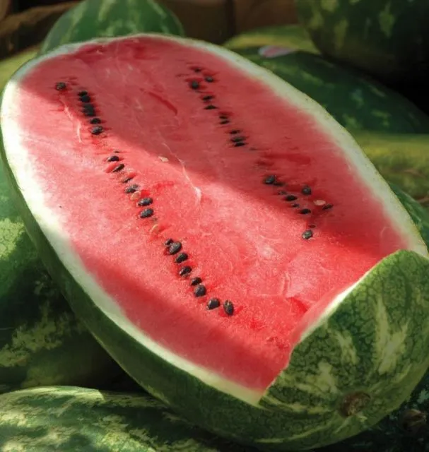 5 Jenis Buah Semangka dan Cara Memilih yang Manis 15