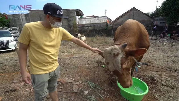 6 Kegiatan Artis Saat Rayakan Iduladha. Ada yang Sumbang Sapi Jumbo dan Ikut Sembelih Langsung 7
