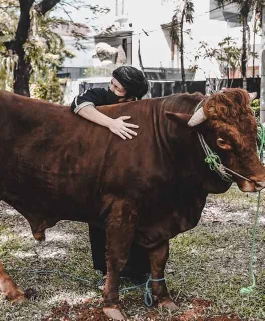 6 Kegiatan Artis Saat Rayakan Iduladha. Ada yang Sumbang Sapi Jumbo dan Ikut Sembelih Langsung 11