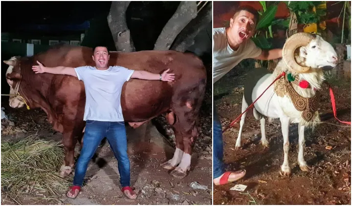 6 Kegiatan Artis Saat Rayakan Iduladha. Ada yang Sumbang Sapi Jumbo dan Ikut Sembelih Langsung 12