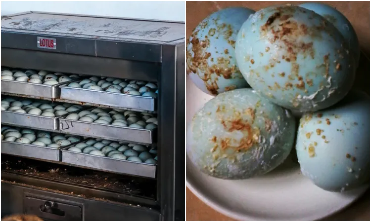 6 Cara Membuat Telur Asin yang Gurih dan Masir. Bisa Pakai Abu Gosok atau Cuma Garam dan Air 12