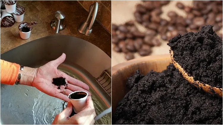 10 Pengharum Kamar Mandi Alami Penumpas Bau Pesing dan Tak Sedap. Aromanya Segar, Anti Pengap 12