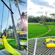 Svargabumi Borobudur, Destinasi Wisata dengan Pemandangan Persawahan ala Ubud yang Memesona!
