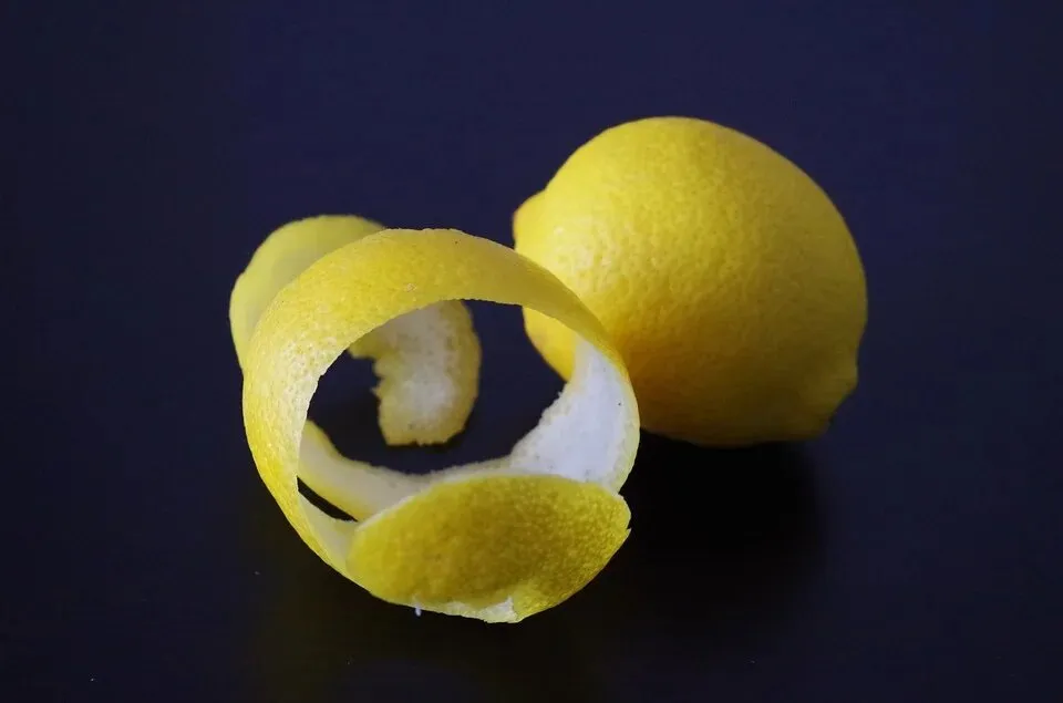 Jangan Dibuang, 8 Kulit Buah ini Punya Segudang Manfaat lo. Nggak Kalah dari Isinya 16