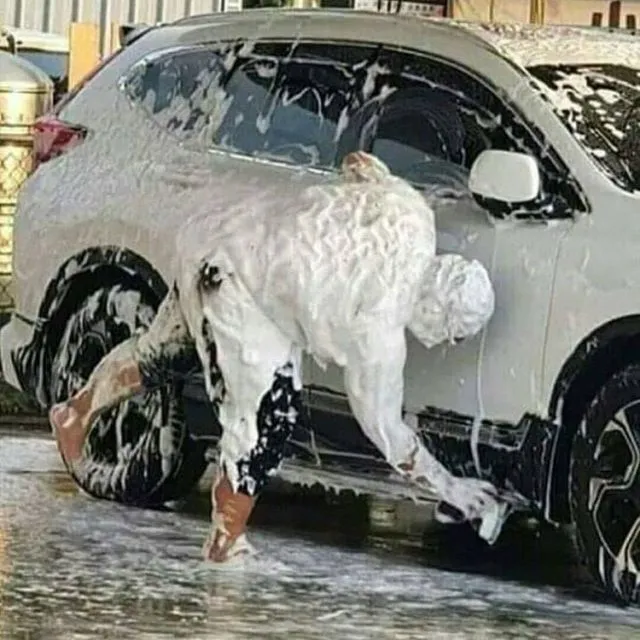 Rela Lakukan Apa Saja demi Pekerjaan, 11 Kekocakan Orang ini Layak Diapresiasi. Totalitas! 19