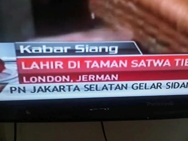 Beginilah Jadinya Kalau Judul Berita dan Foto yang Tampil Nggak Sinkron. Ternyata TV Bisa Ngebug Juga ya~ 20