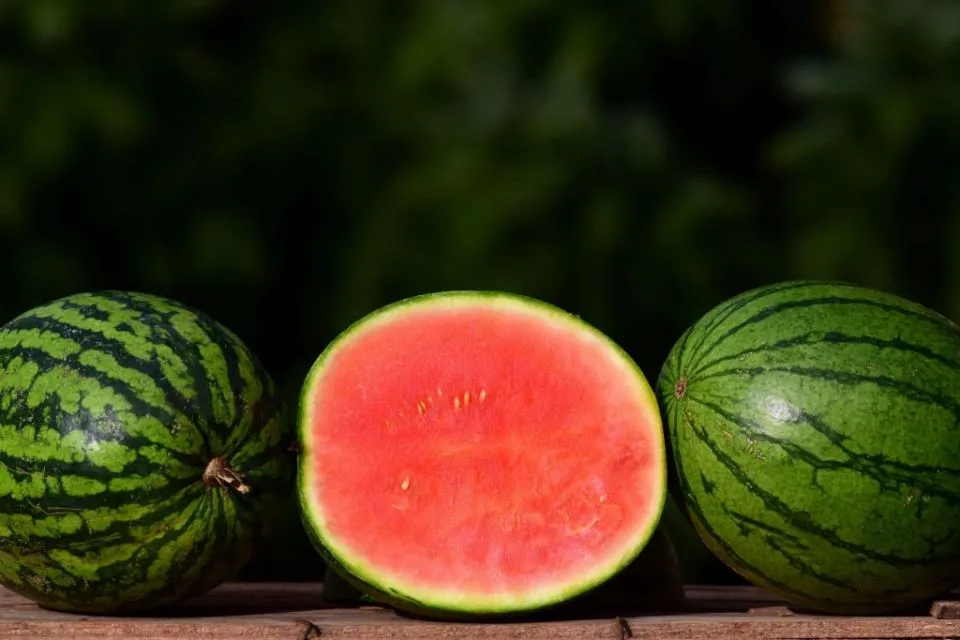 5 Jenis Buah Semangka dan Cara Memilih yang Manis 14