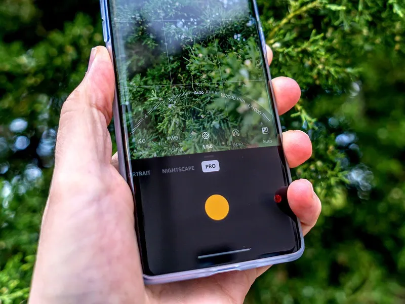 Teknik Dasar Belajar Fotografi Bermodalkan Kamera HP, Hasilnya Sebening Jepretan Profesional 18