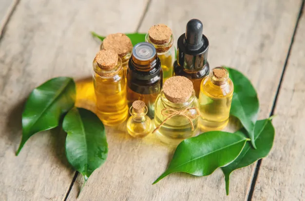 5 Pilihan Minyak Alami buat Bayi atau Anak. Gampang Didapat, Kaya Manfaat! 10