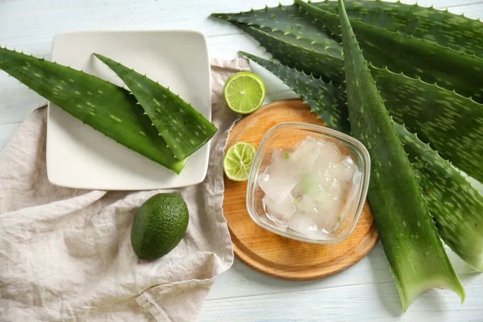 7 Cara Menghilangkan Kantung Mata dengan Bahan Alami, Nggak Perlu Makeup! 11 cara menghilangkan kantung mata secara alami