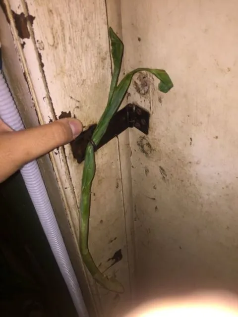 Deretan Pintu Ajaib yang Kalau Dibuka Mengundang Bahaya. Mending Buka Pintu Maaf Kalau Gini mah :( 21