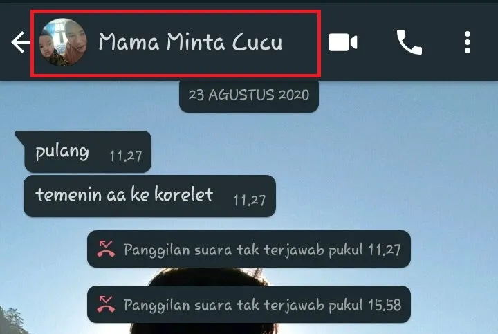 11 Ragam Penamaan Kontak Ibu di HP Anak-anaknya. Warganet Emang Nggak Pernah Nggak Lucu~ 16