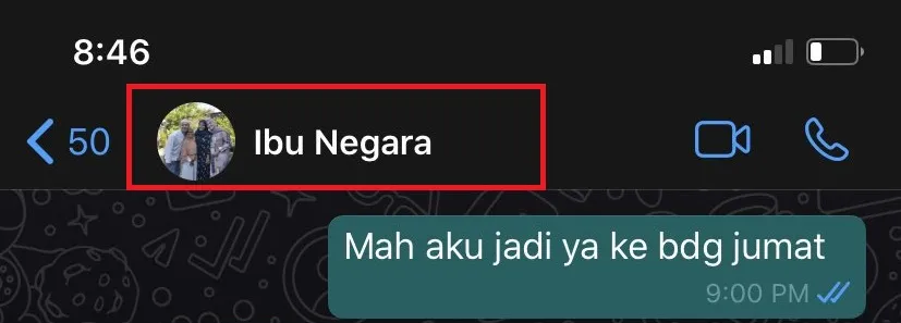 11 Ragam Penamaan Kontak Ibu di HP Anak-anaknya. Warganet Emang Nggak Pernah Nggak Lucu~ 19