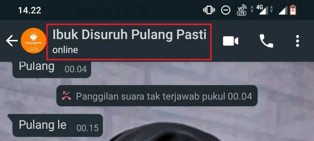 11 Ragam Penamaan Kontak Ibu di HP Anak-anaknya. Warganet Emang Nggak Pernah Nggak Lucu~ 17