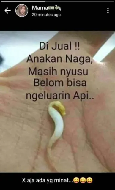 11 Status WhatsApp Ibu-ibu yang Bikin Anaknya Tepuk Jidat. Nggak Bapak Nggak Emak, Sama Kocaknya! 17
