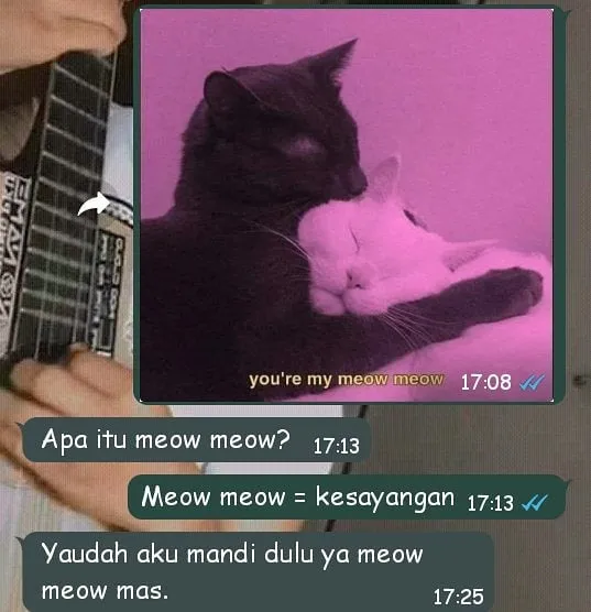 11 Balasan Chat ini Bukti Kalau Kodein Pacar Seringnya Berakhir Kecewa. Sering Ngalamin juga Nggak? 18