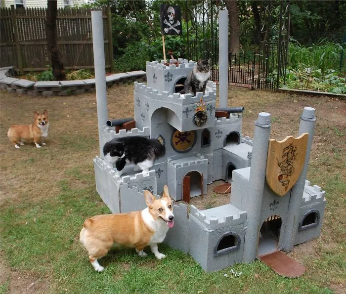 11 Model Singgasana Kocak buat Kucing. Bikinin deh, Biar Makin Berasa Mereka Adalah Majikan Kita~ 16