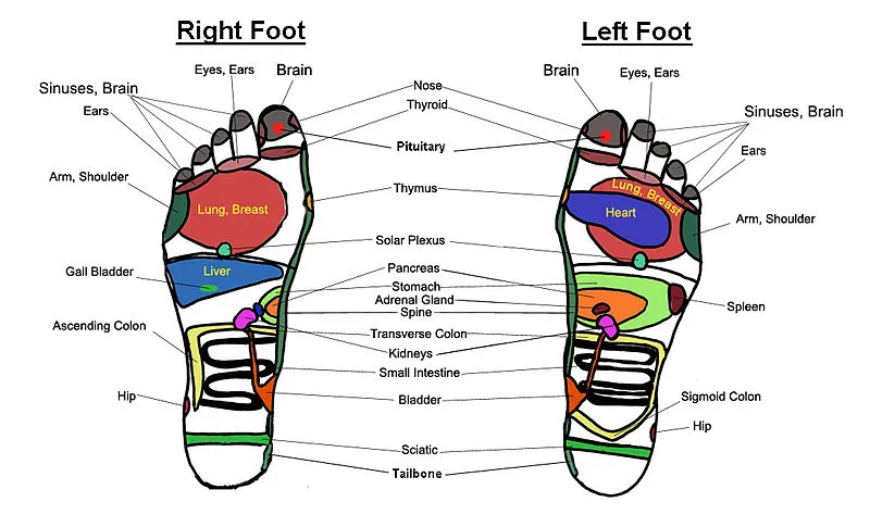 7 Titik Akupuntur Refleksi Kaki untuk Kesehatanmu 9