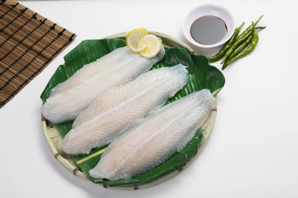 Penjelasan Ikan Dori dan 8 Perbedaan dengan Ikan Patin 14